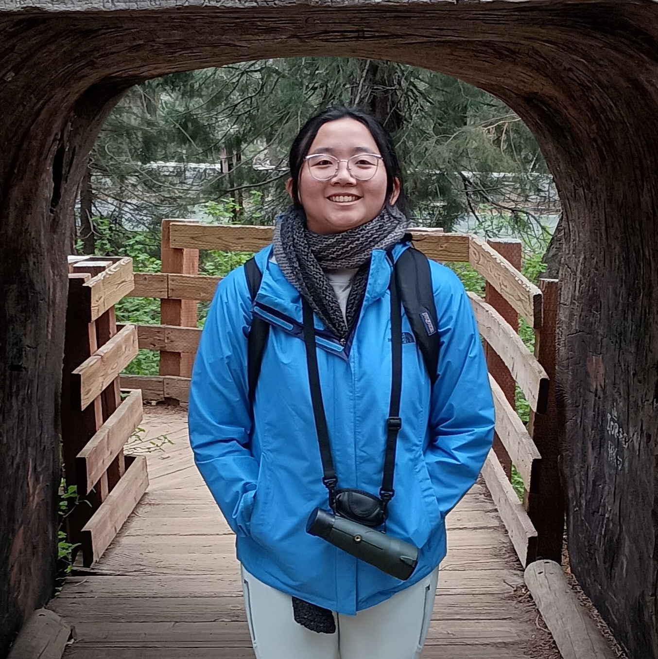 Joyce A. Chew